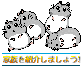 hamster